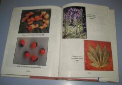 Chemistry & Pharmacology of Ayurvedic Medicinal Plants