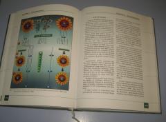 Sunflower Genetics and Breeding international monography