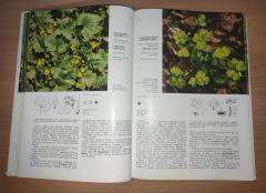 Priroda Jugoslavije 6 knjiga komplet